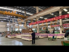 MT4 tecnología de la información