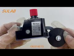 Interruptor de límite de servicio pesado CR137-BZ-T2 con clasificación IP67, 2 contactos de acción rápida SPDT y rodillo de acero L